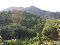-海南热带雨林国家公园吊罗山景区
