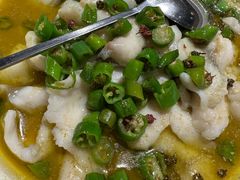 藤椒嫩滑鱼片-小大董·烤鸭(五棵松店)
