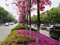-西南林业大学(白龙校区)