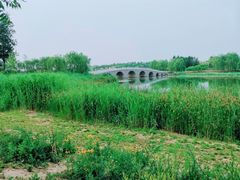-北京麋鹿生态实验中心