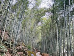 -黄山翡翠谷景区
