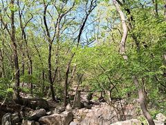 -封龙山风景区