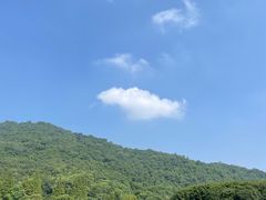 -八卦田遗址公园