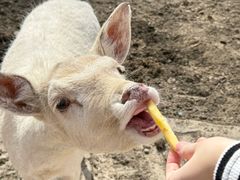 -水上乐园·欢乐世界