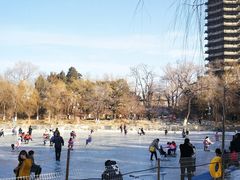 -北京大学赛克勒考古与艺术博物馆