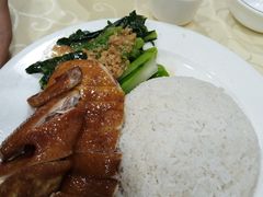 -老字号蛇口德记烧腊饭店·海鲜加工