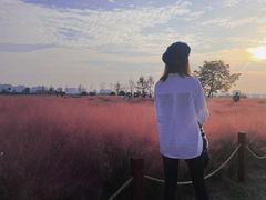 -汉长安城未央宫国家考古遗址公园