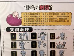 -金色雨林·专注力情商思维感统(海岸城八方汇中心)