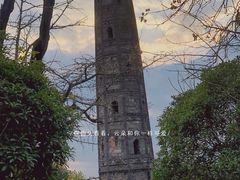 -上海佘山国家森林公园天马山园