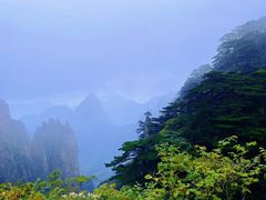 -黄山风景区
