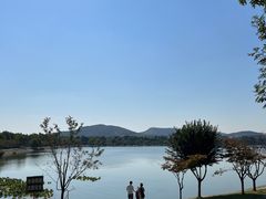 -羊山湖公园
