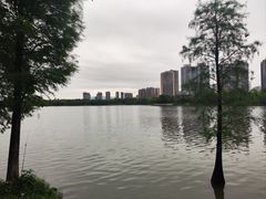 -飞来湖湿地公园