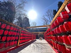 -百年义利(日坛北路店)