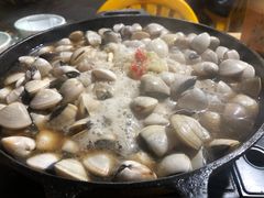 -顺德哥卜卜贝(旗舰店)