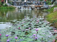 -东莞植物园