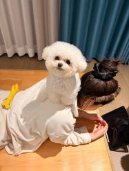 -INLIFE HAIR韩国美发