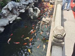 -西林禅寺