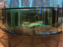 -金翠皇宫粤菜·点心·海鲜(科技园店)