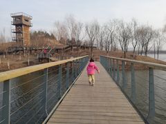 -东郊湿地公园