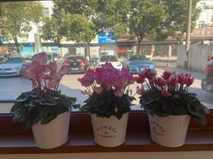 -满月蛋糕定制·商务茶歇·diy课程(万达广场店)