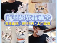 -lincat·猫舍(广州店)
