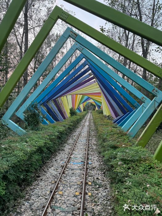 合肥滨湖国家森林公园图片