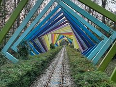 -合肥滨湖国家森林公园