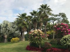 -厦门悦华酒店