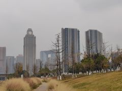 -桂溪生态公园