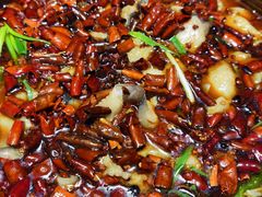 川西泼辣湄公鱼-红辣椒·川菜·火锅(大洋中心店)