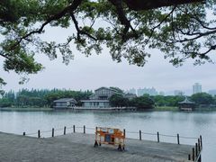 -江心屿景区