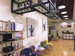 -涩谷· Hair Salon