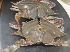 梭子蟹和八爪鱼-琥珀川糟粕醋火锅(慈云寺店)