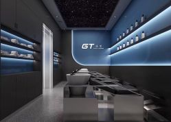 -GT潮朴美业