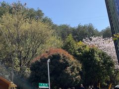 -千岛湖天屿景区