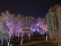 -大雁塔北广场音乐喷泉