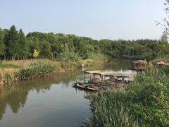 -上海长兴岛郊野公园