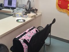 -奈斯宠物医院·核磁CT·异宠专科·内镜(中南店)
