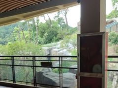 -宁波野生动物园