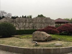 -嘉定紫藤园
