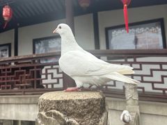 -重元寺香积厨素斋馆
