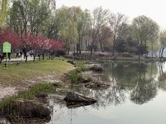 -河北省园博园