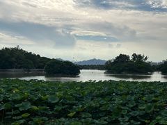 -江心屿景区