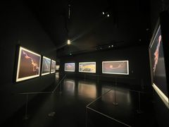 -罗红摄影艺术馆