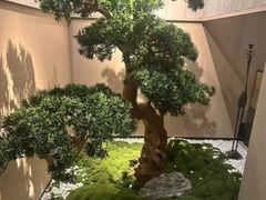-鹤祥宫·影院足道·SPA连锁(苹果园店)