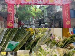 -溪岸路花鸟市场