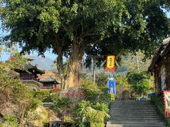 -广东天露山旅游度假区