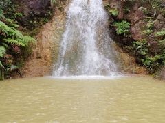 -南海湾森林生态园