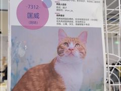 -远洋未来广场(育慧北路店)