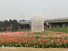 -秀丽东方